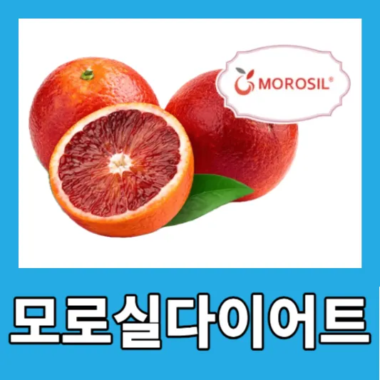 갈색 지방 모로실 다이어트 후기 모로실 효능 모로 오렌지 다이어트 C3G