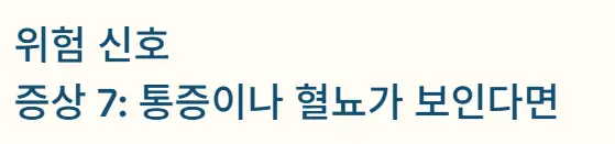통증 혈뇨