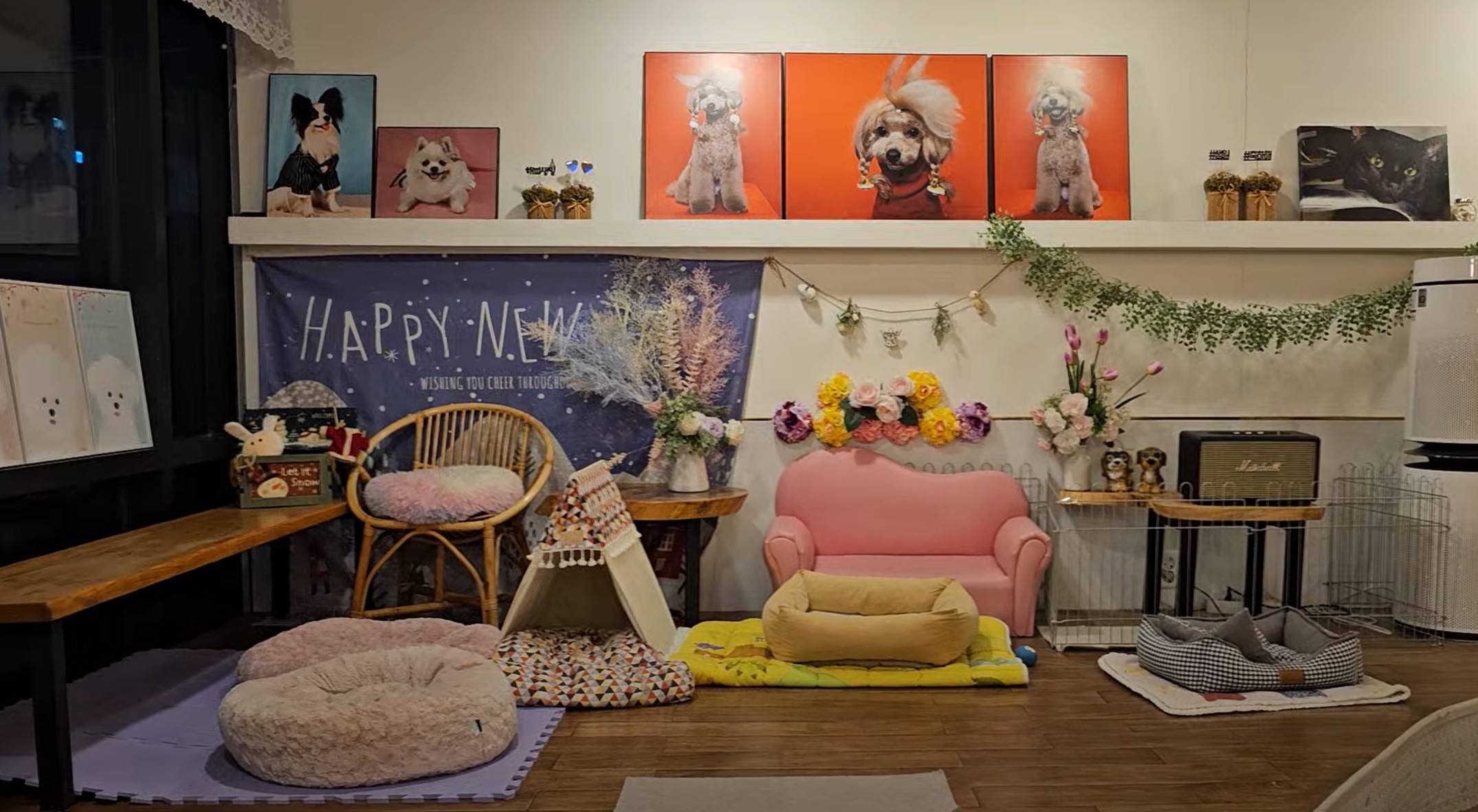 펫티 실내 공간