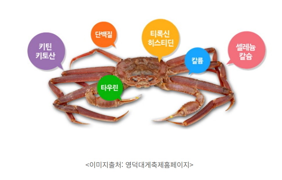 대게 철 효능 대게 찌는 법 알아보기