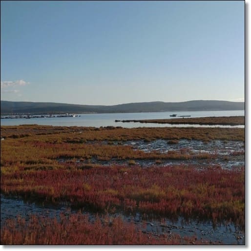 개별공시지가조회