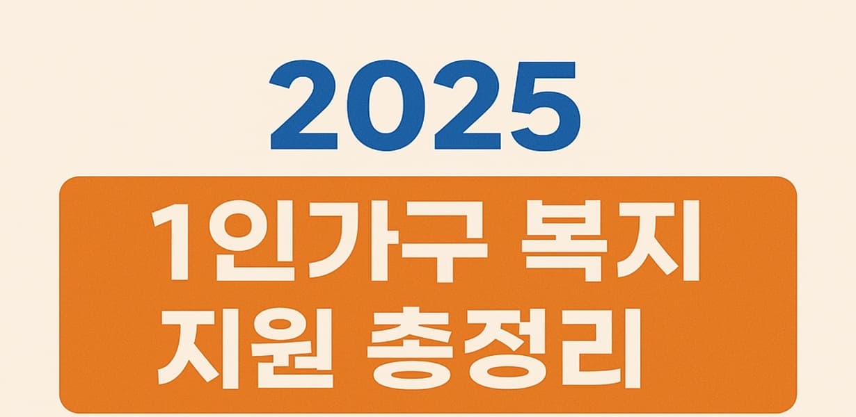 2025년 1인 가구 복지 지원정책 인포그래픽