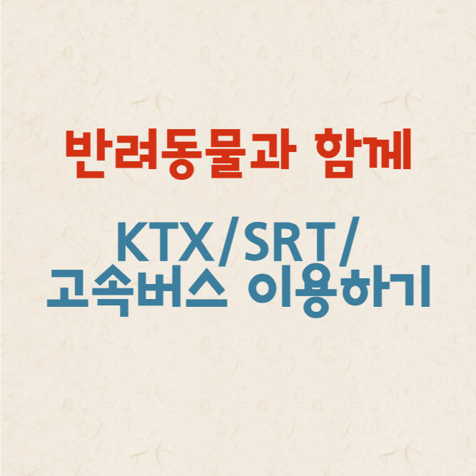 반려동물과 함께 KTX/SRT/고속버스 이용하기