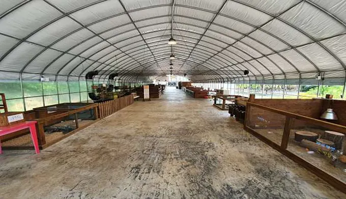 바둑이네동물원