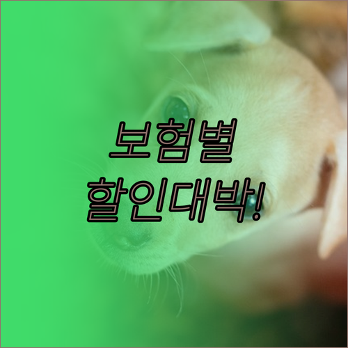 KB·현대해상 등 보험사별 유기견 할..