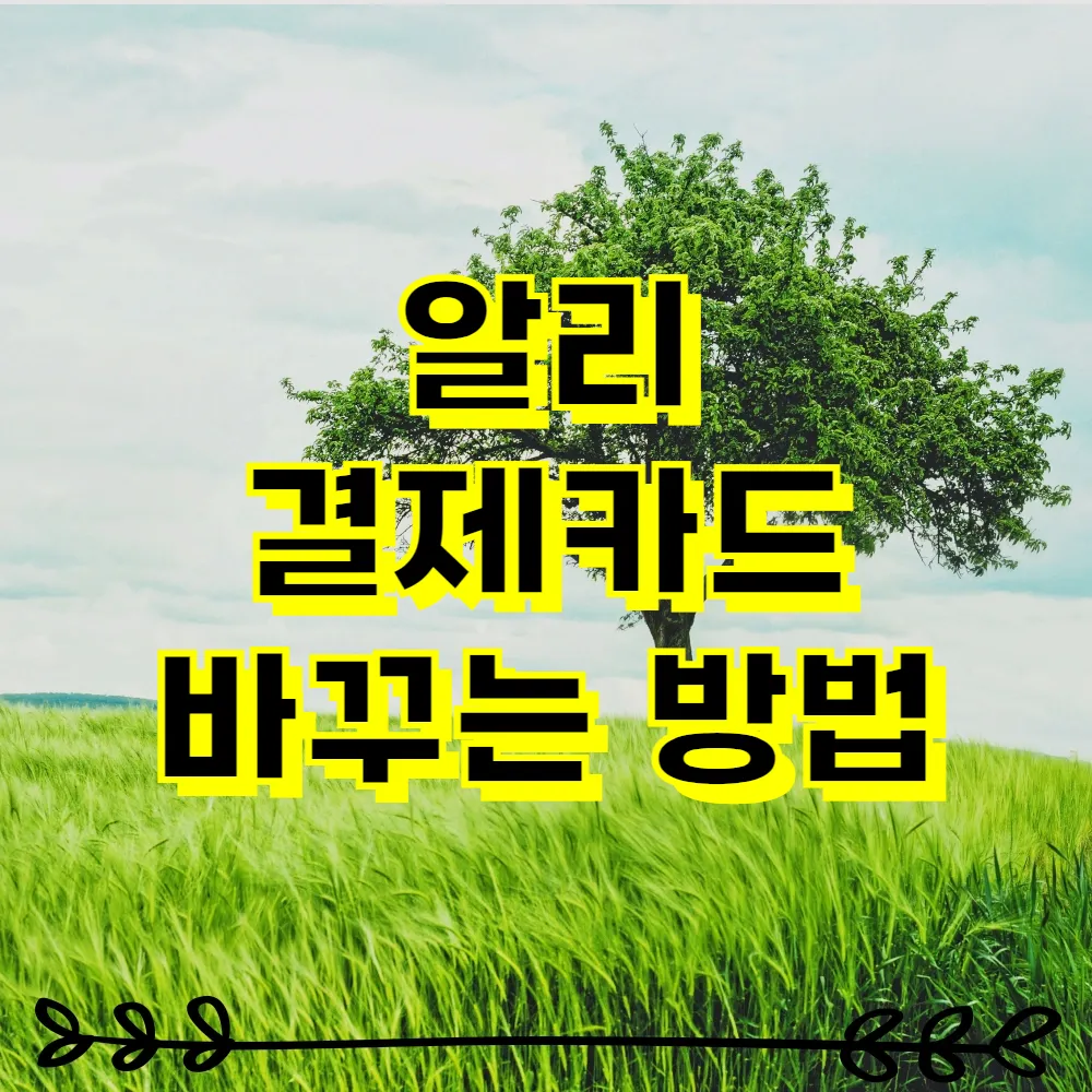 알리 결제카드 바꾸는 방법