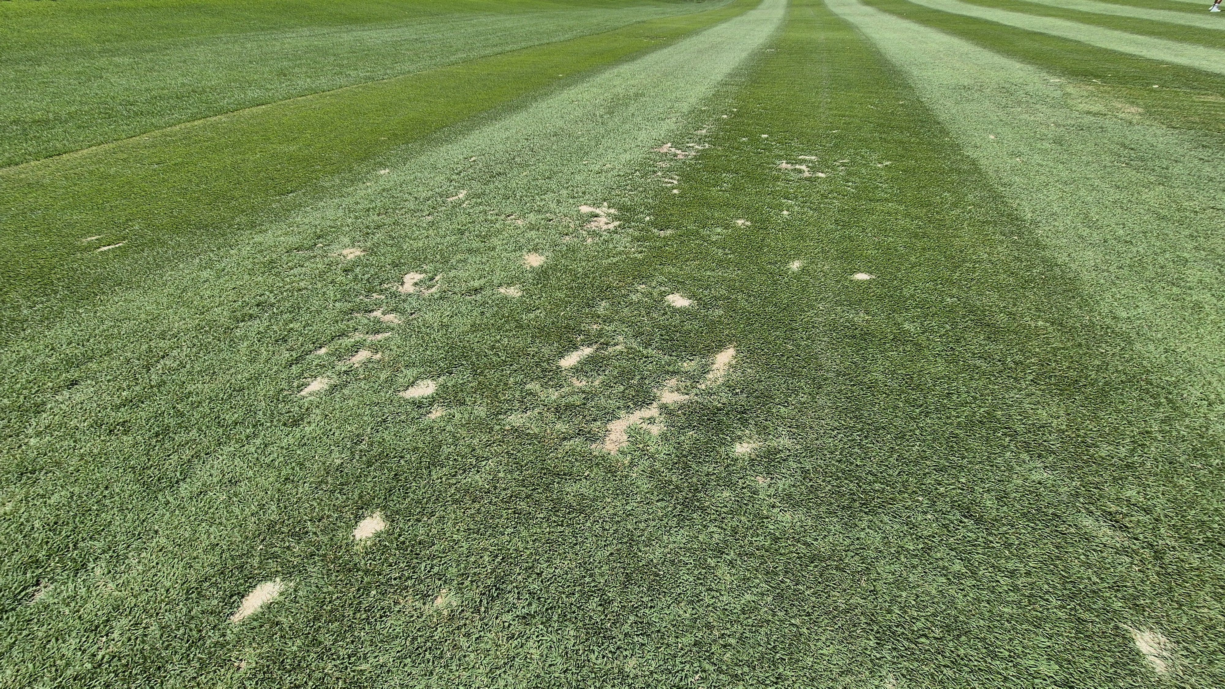 한성cc 오렌지-그린 코스 라운드 후기