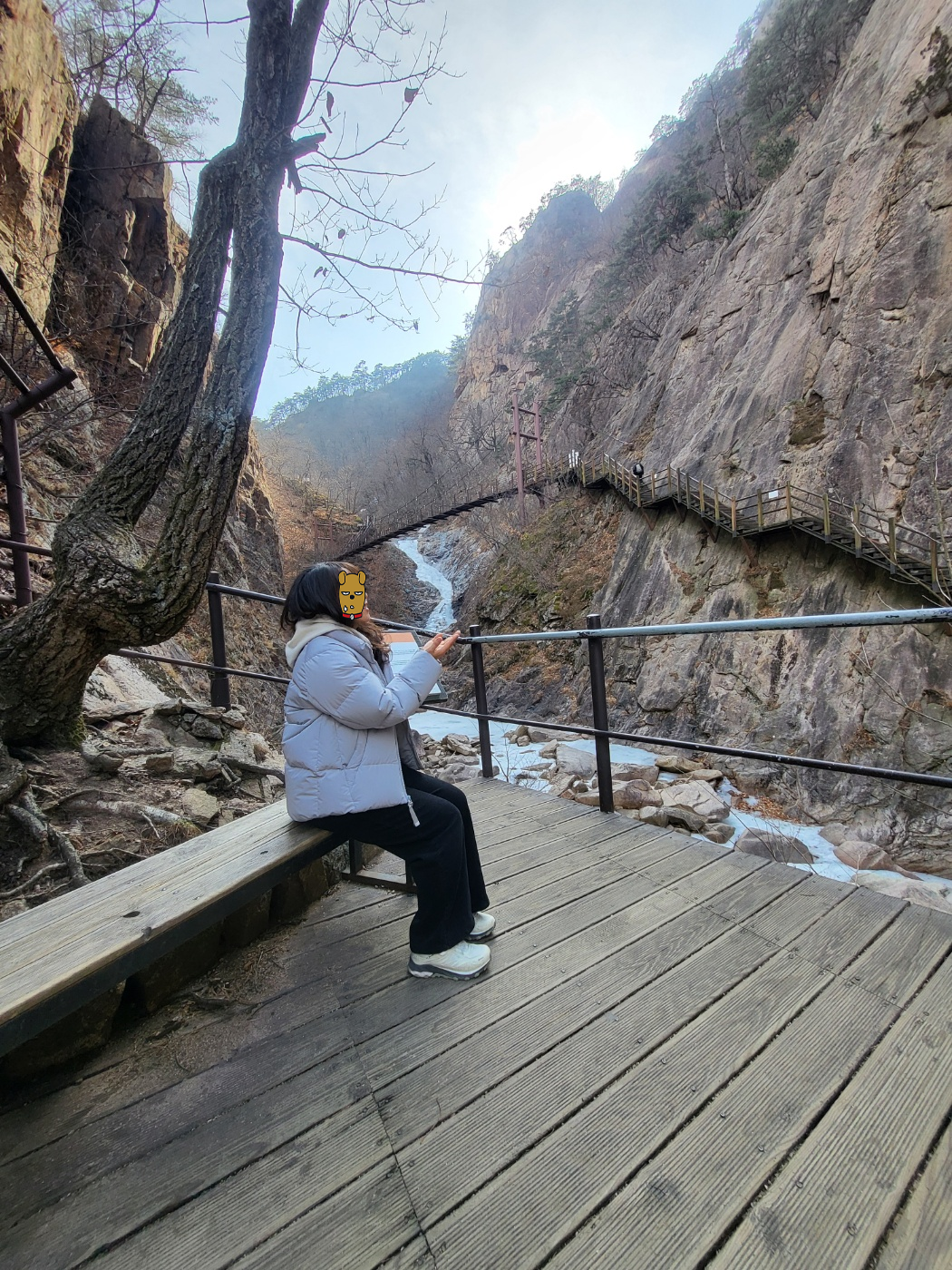 설악산 케이블카 대기 결국 포기! 비룡폭포 대신 선택한 용담폭포와 출렁다리 아이와 함께한 겨울 산행(토요일)