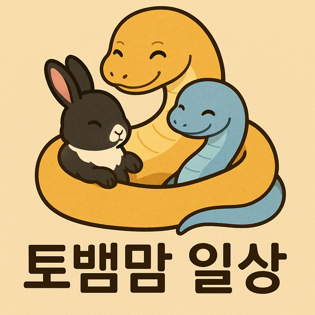 토뱀맘 일상
