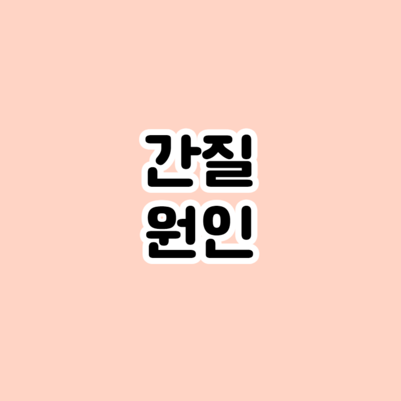 간질 원인