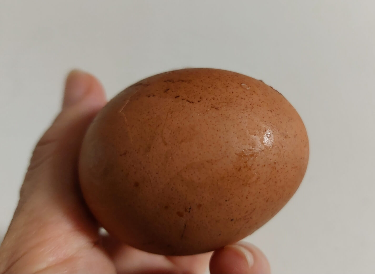 구운계란 표면 사진