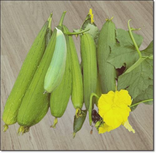 수세미 먹는 법과 주의점