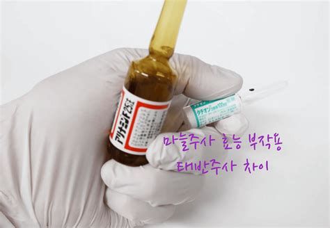 태반 주사 가격