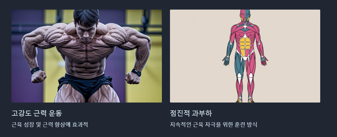 근력향상 맨몸운동 루틴