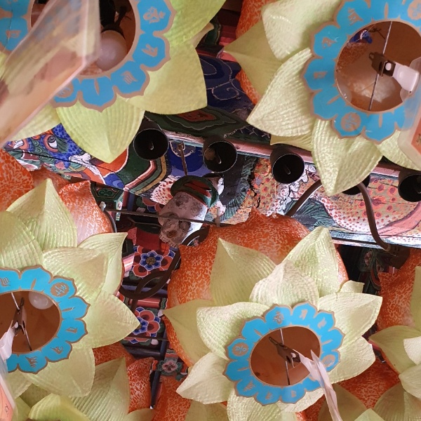 영천 영지사 대웅전 연등 악착보살