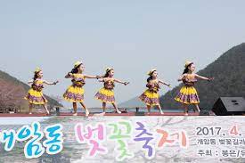 제 6회 개암동 벚꽃축제 기본 일정과 프로그램 및 특징 소개