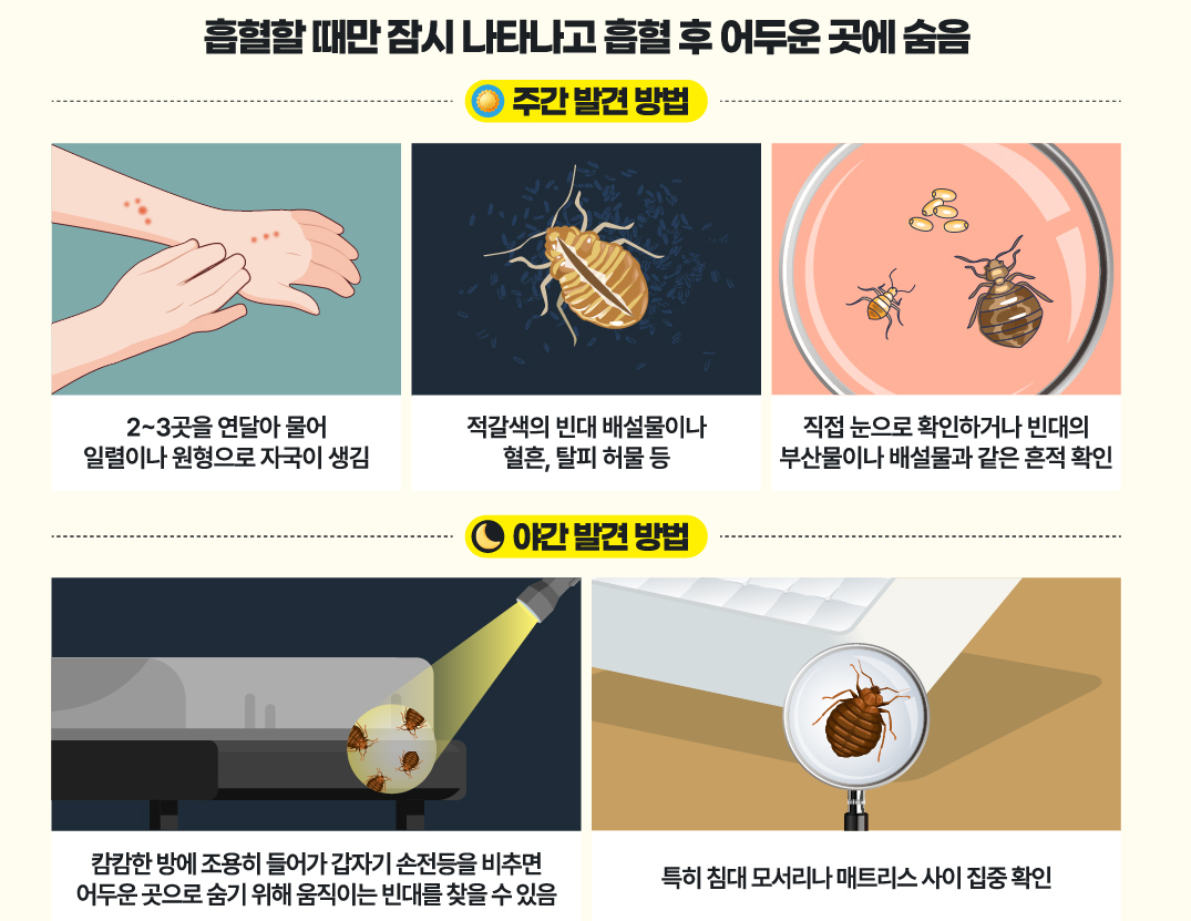 빈대발견법