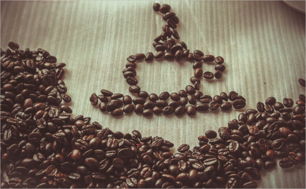 활력을 주는 커피콩에 대한 짧은 이해