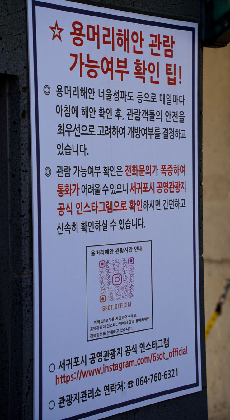 용머리 해안 물때 시간