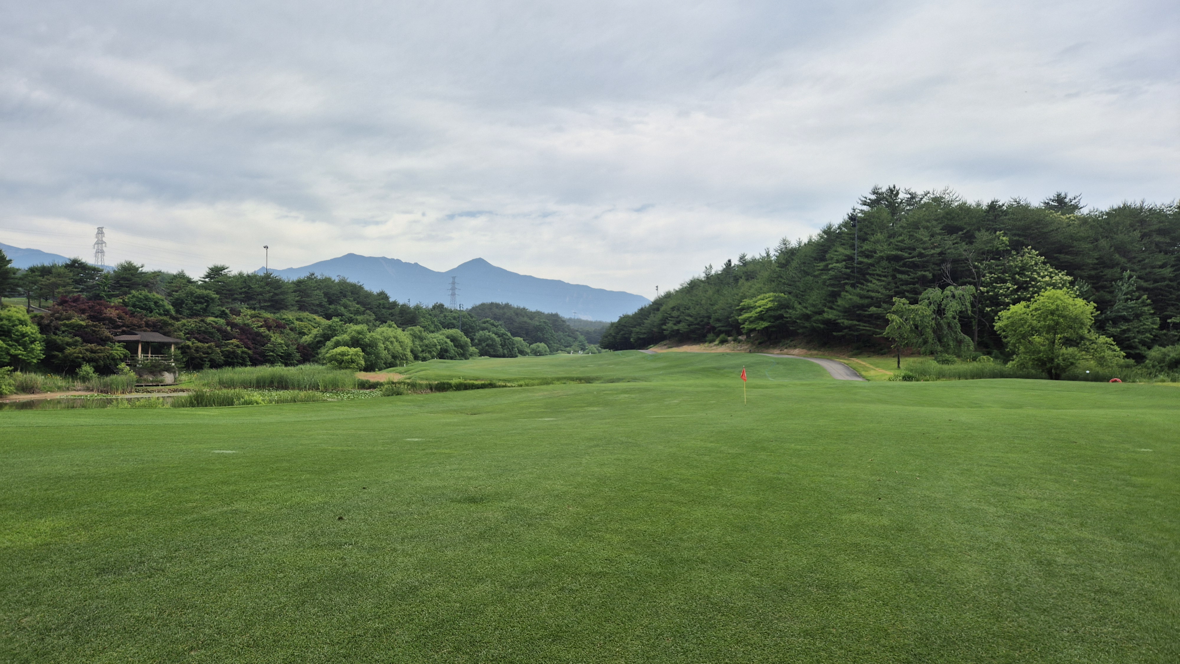 파인리즈cc 후기 및 코스사진