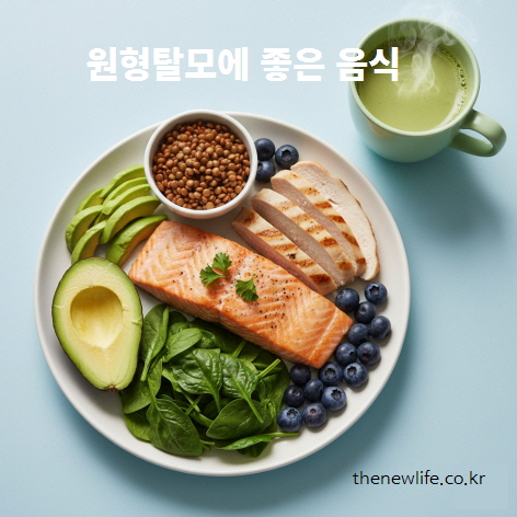 원형탈모에 좋은 음식 구성 – 연어, 닭가슴살, 아보카도, 시금치, 렌틸콩, 블루베리, 녹차 등 단백질·철분·항산화 식품이 담긴 접시 이미지