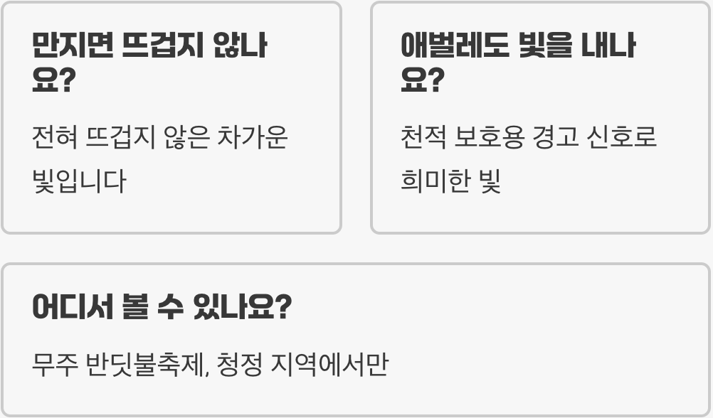 반딧불 빛의 원리와 과학적으로 밝혀진 발광 메커니즘