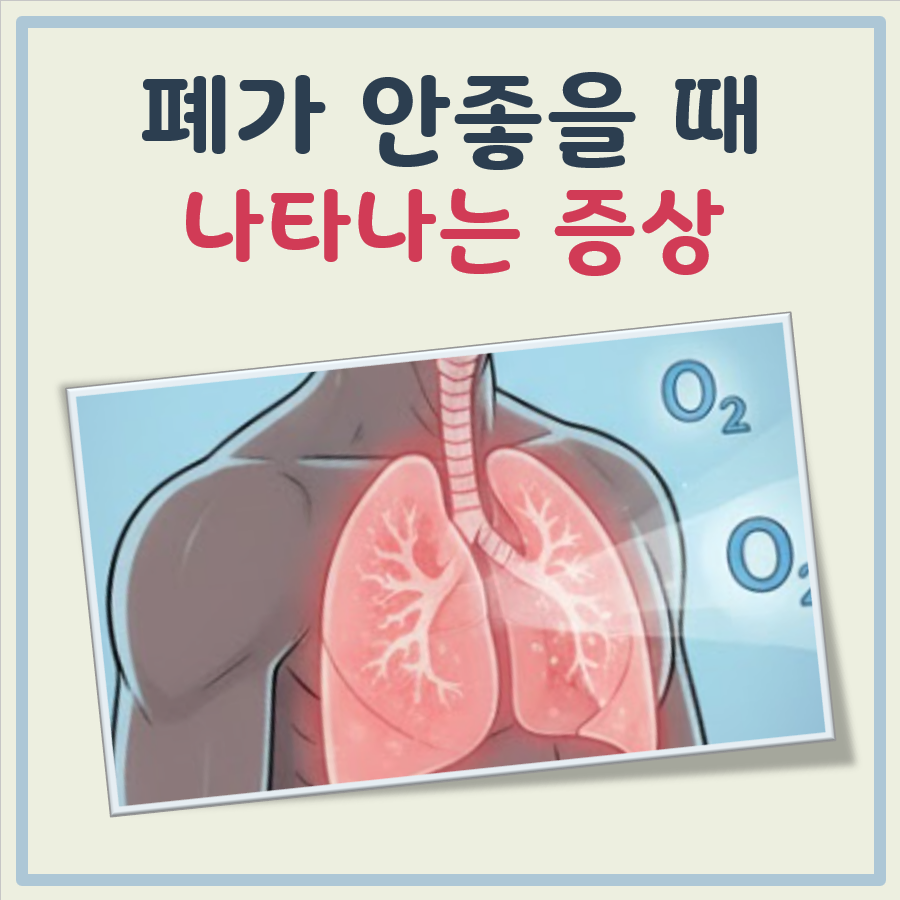 폐가 안좋을때 나타나는 증상 대표 이미지