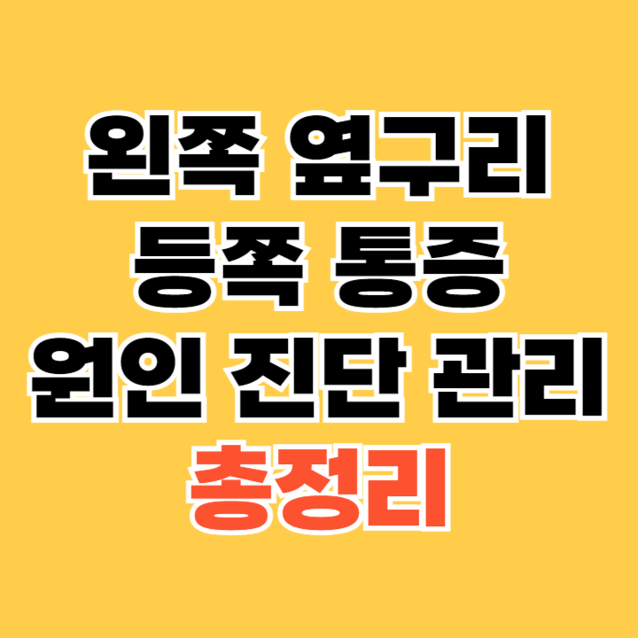 왼쪽-옆구리-통증