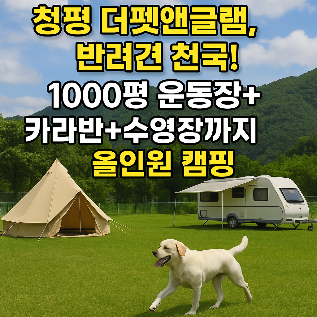 청평 더펫앤글램, 반려견 천국! 1000평 운동장+카라반+수영장까지