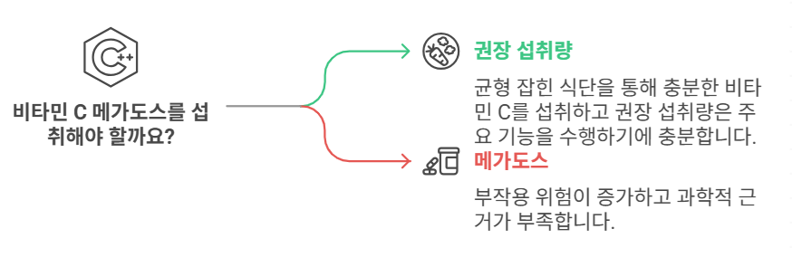 비타민C 메가도스 관련