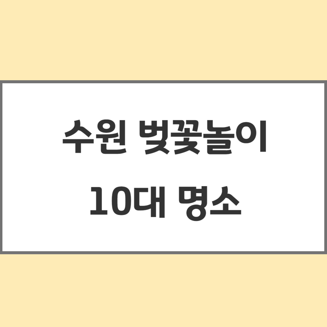 수원벚꽃-10대명소