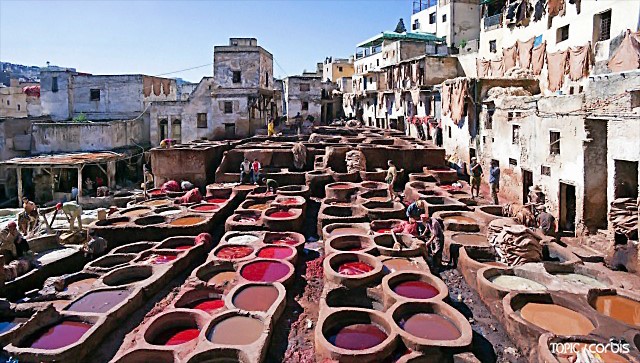 가죽 무두질 작업장 중 가장 유명한 슈아라 테너리(Chouara Tannerie) 전경. 마치 팔레트 같이 생겼다.