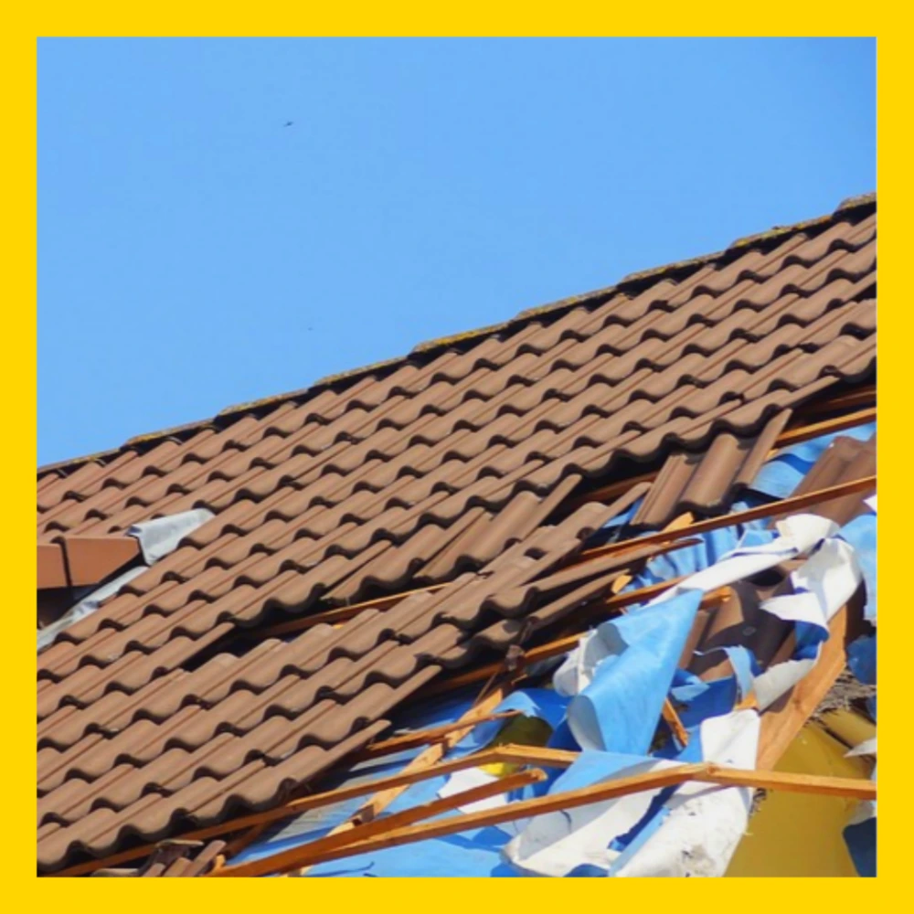 특별재난지역-선포-기준-혜택-선포지역