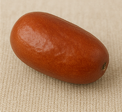 보리수 열매 효능
