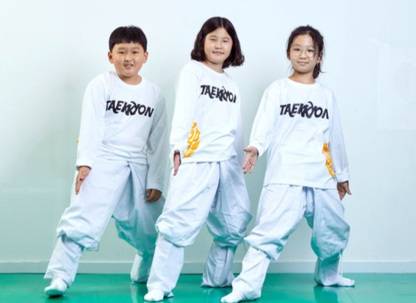 무예 택견의 문화재로서 가치 분석: 국가무형문화재의 의미