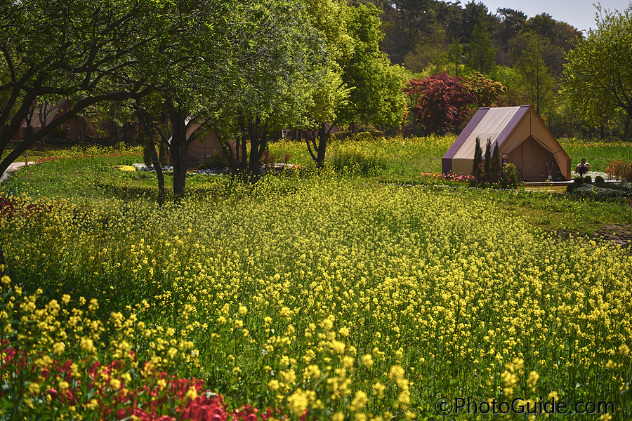 순천만국제정원박람회