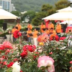 2025 삼척 장미축제