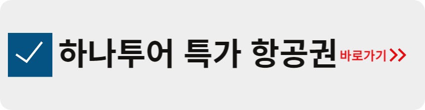 하나투어 특가 항공권