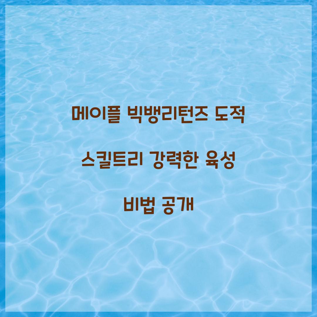 메이플 빅뱅리턴즈 도적 스킬트리