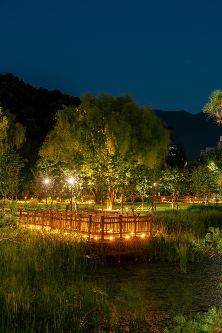 대구 가볼만한 단풍 여행은 어디일까? 대구 단풍 여행 총정리!