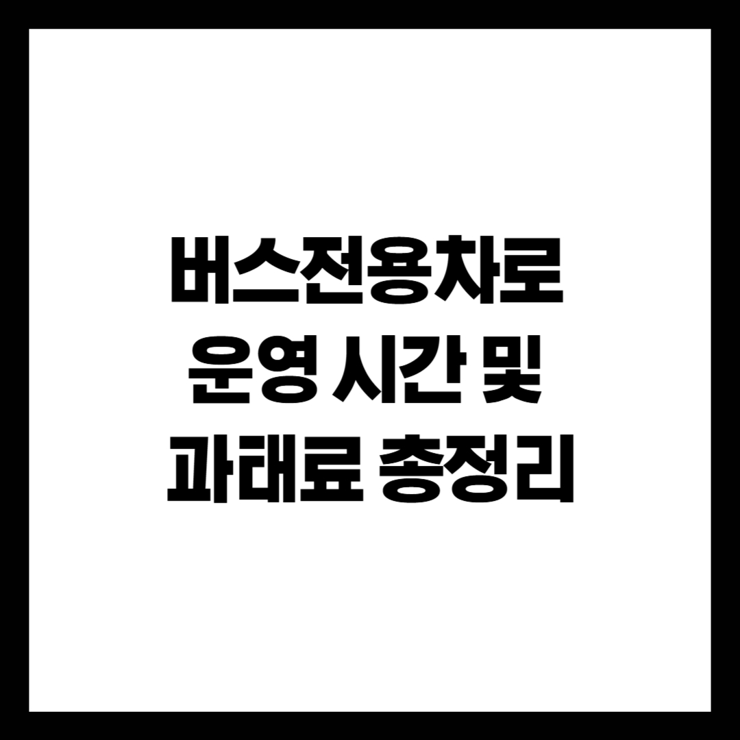 버스전용차로 운영 시간 및 과태료 총정리