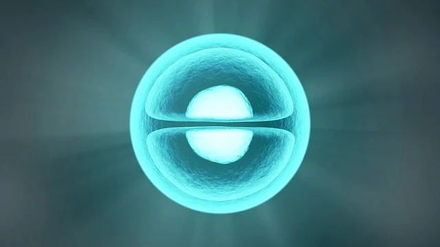 분자