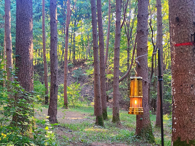남양주 숲속캠핑, 팔현캠프 미리보기