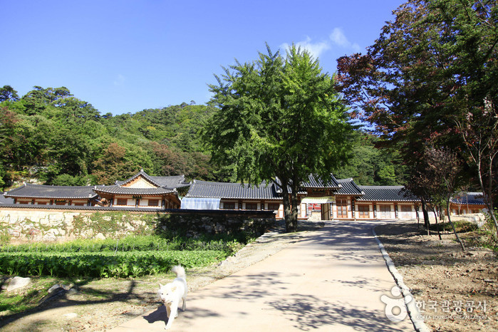 문경 가볼만한곳 베스트10