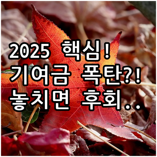 2025 청년도약계좌 조건 혜택 정부..