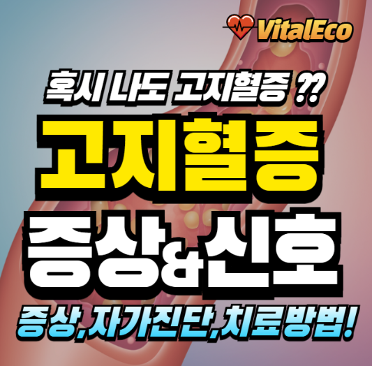 고지혈증 증상 알아보기