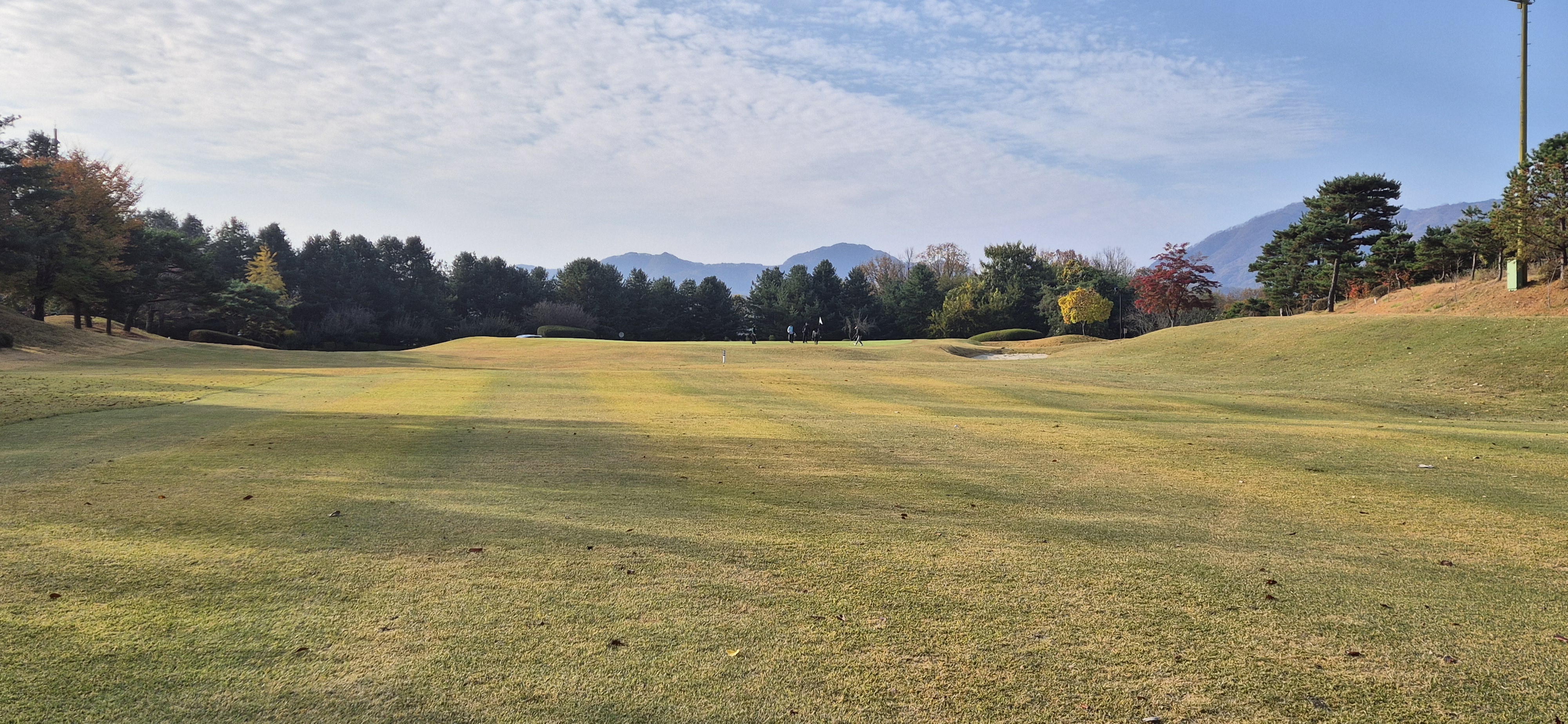 시그너스cc 라미코스 사진 및 공략 정보