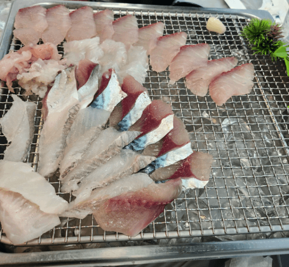 [6시 내고향] 동해 횟집 자연산 활어회 맛집 어달항 바다뷰 선창횟집