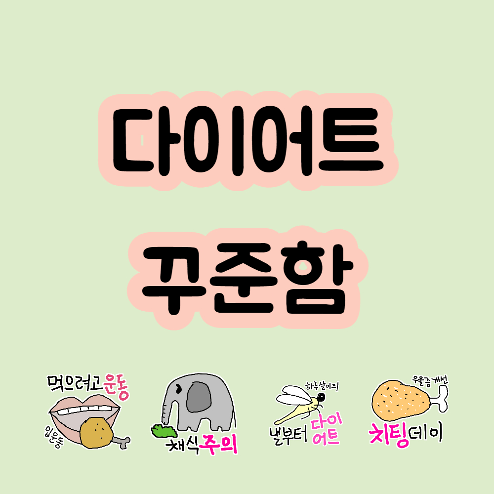 다이어트 성공 꾸준함