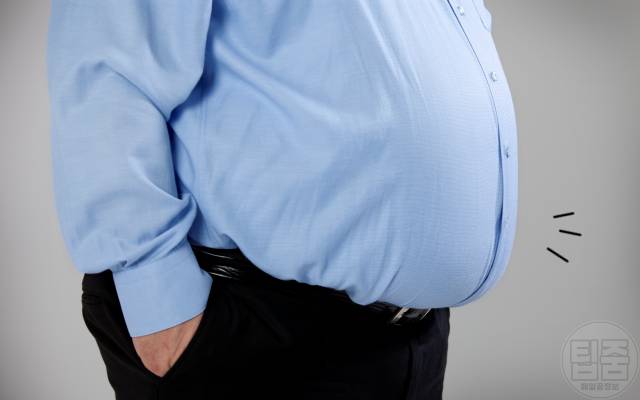 내장지방 빼는법 지방간 제거